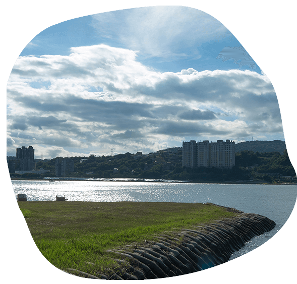 白天的島頭公園