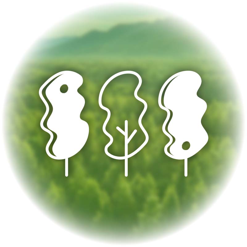 永續土地：天下公民森林行動倡議