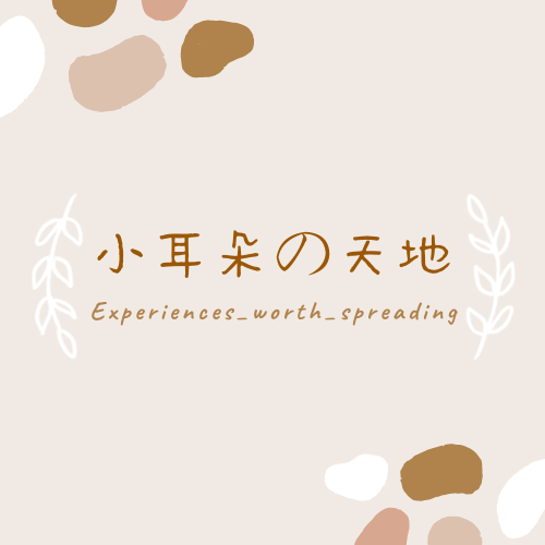 實習經驗與產業觀察 小耳朵の天地